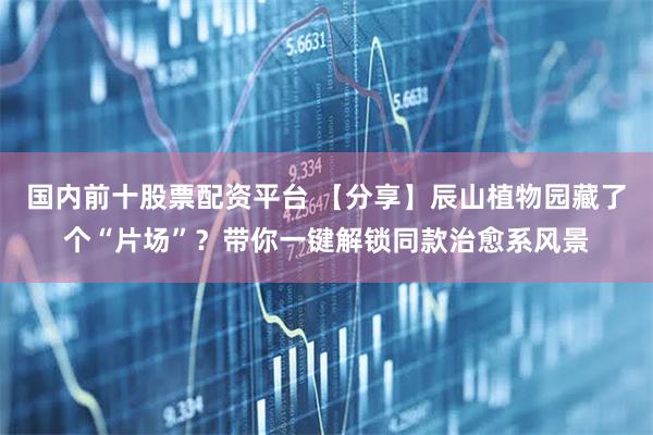 国内前十股票配资平台 【分享】辰山植物园藏了个“片场”？带你一键解锁同款治愈系风景
