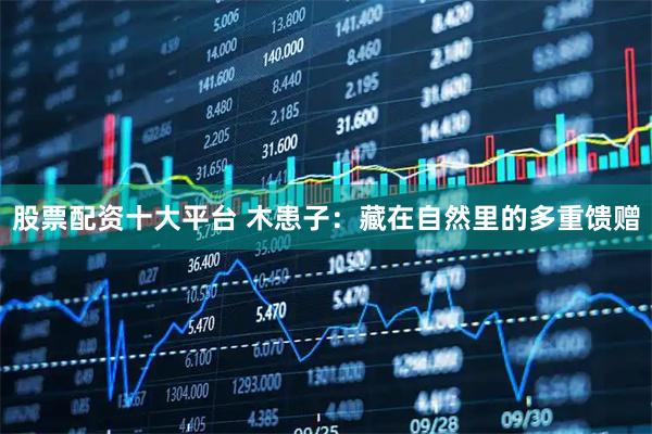 股票配资十大平台 木患子：藏在自然里的多重馈赠